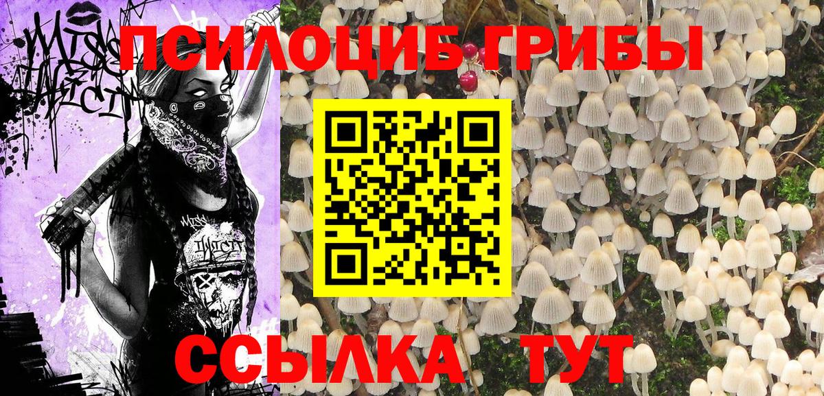 Псилоцибиновые грибы прущие грибы Ржев