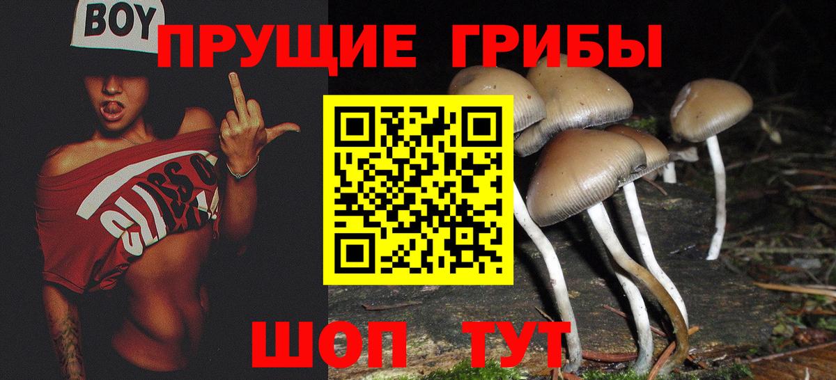 Галлюциногенные грибы ЛСД  Вход с VPN  Ржев 